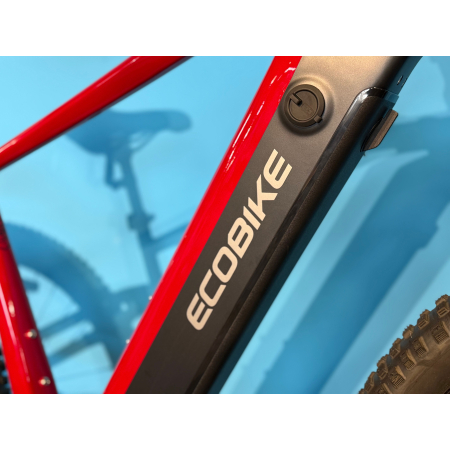 rower elektryczny ecobike rx500 29
