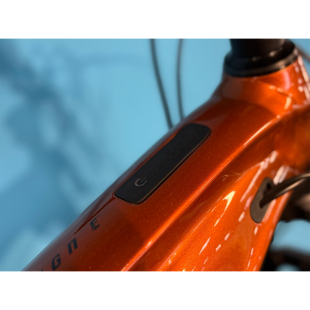 rower elektryczny giant reign e+3 amber wyświetlacz punktowy na ramie
