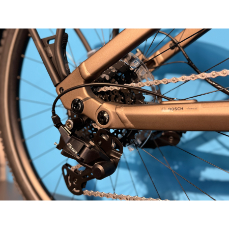 Rower Elektryczny Raymon Tavano Pure przerzutki shimano essa
