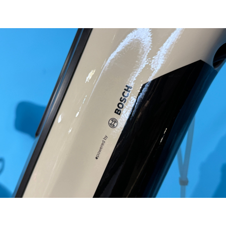rower elektryczny Winora Tria 10 w kolorze szarym 28